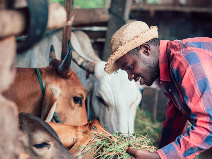 Agriculture and livelihood training