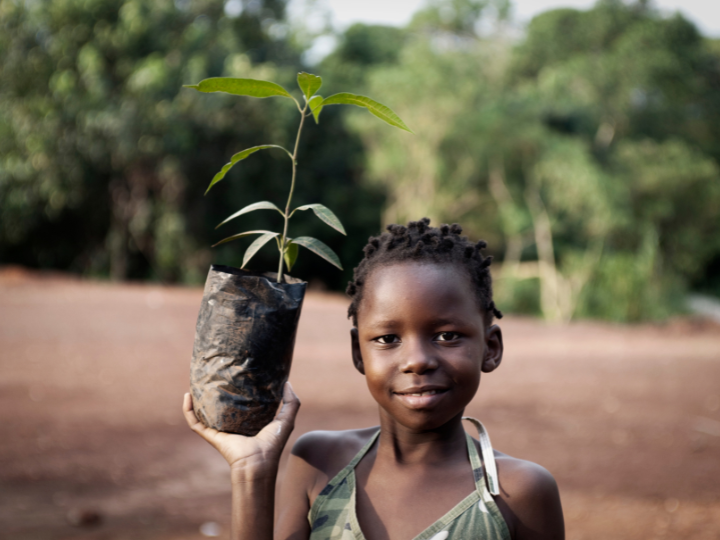 Environmental conservation training