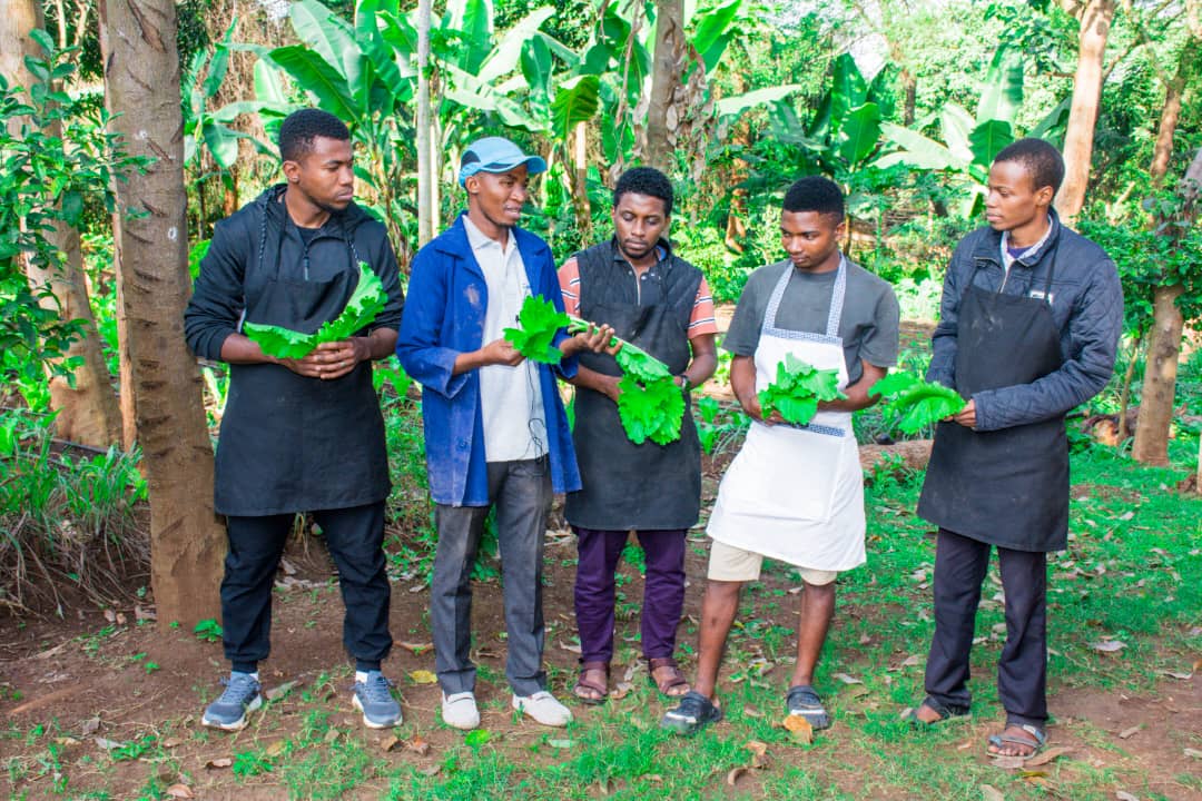 Community Empowerment and Development